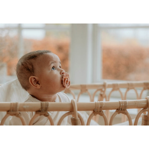 Bibs- Boheme Chupete Látex Pack 2 Marmota/Rubor