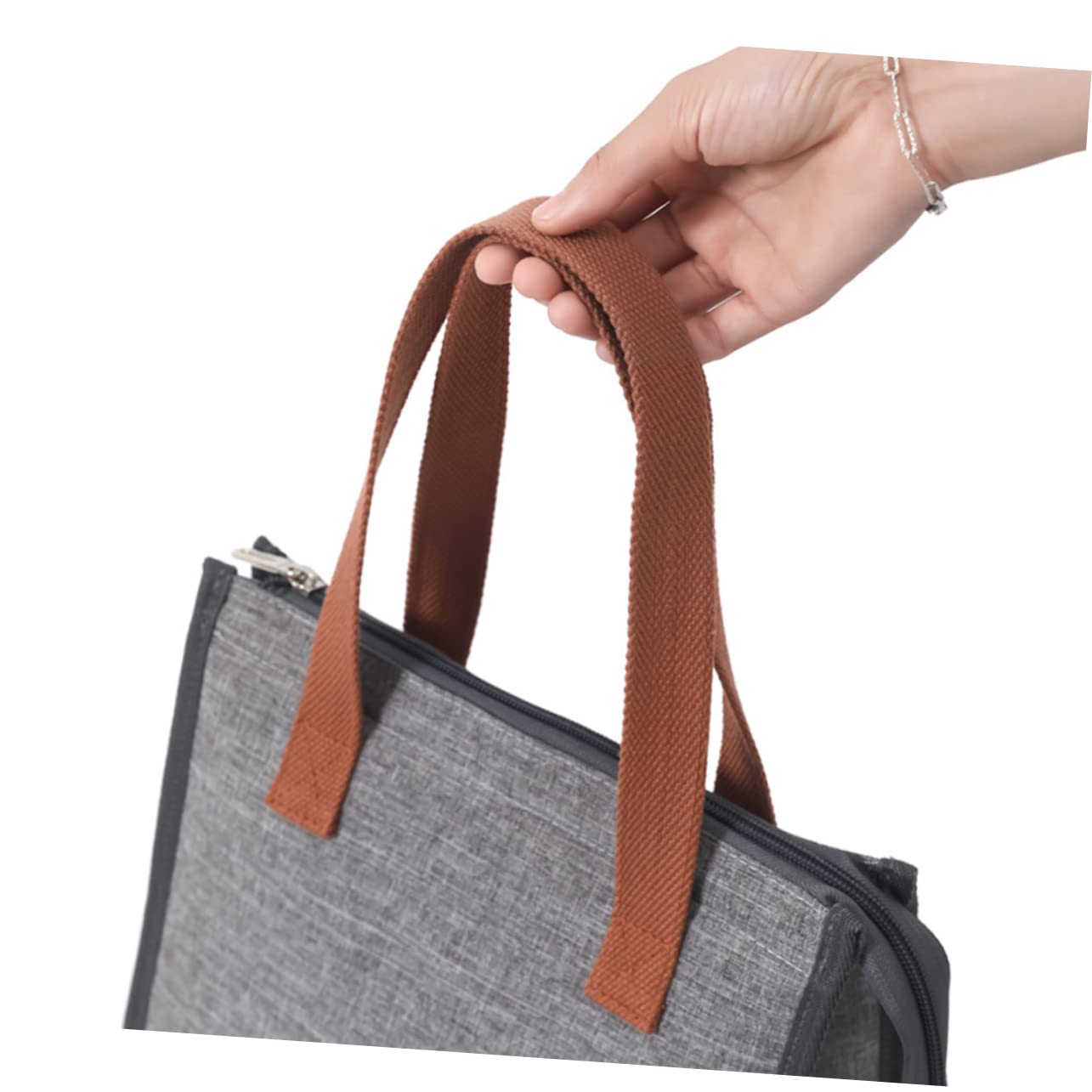 Bolsa de almuerzo aislada