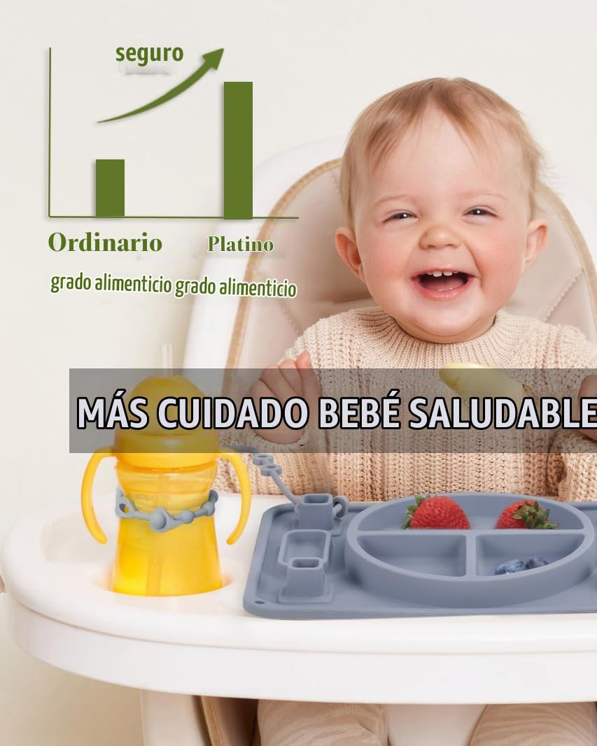 Plato de Silicon con divisiones gris azulado