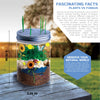 Discovery #MINDBLOWN Kit de cultivo de terrario de bricolaje