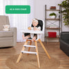 Evolur Zoodle - Silla alta 2 en 1, diseño moderno