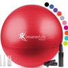 SmarterLife - Pelota para embarazo y postparto
