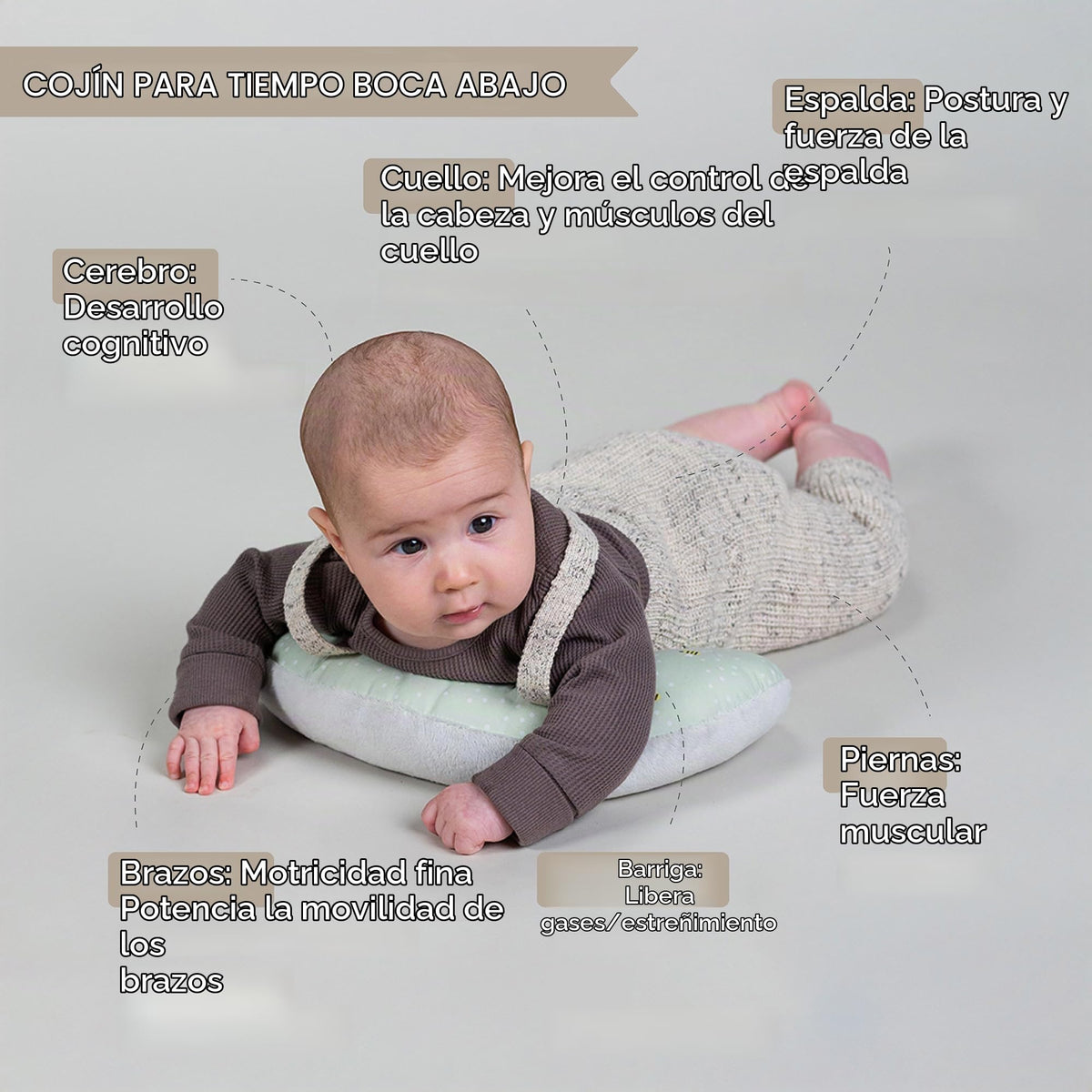 Taf Toys Libro arrugado de doble cara y juguete de apoyo, 0-6 meses