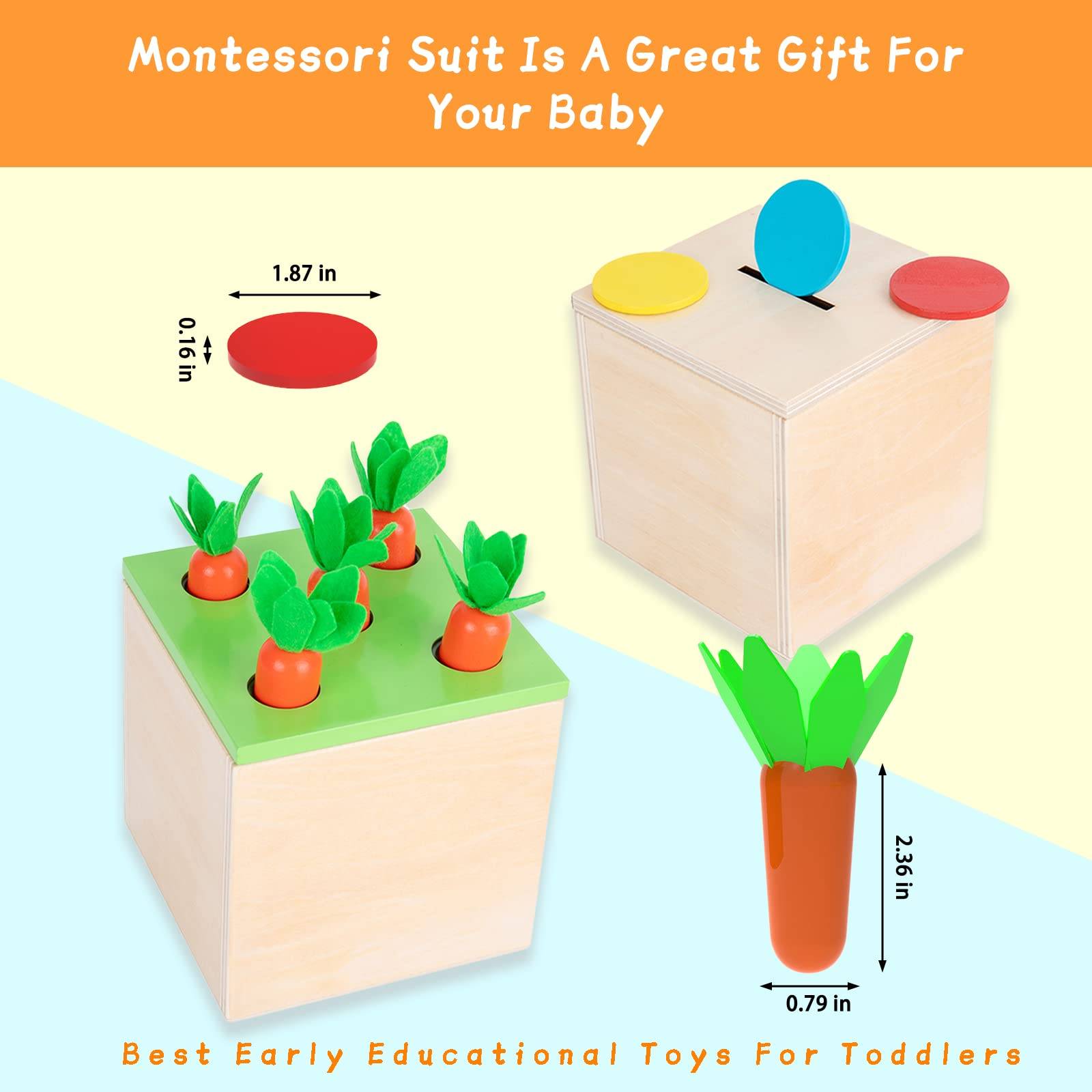 Adena Montessori – Kit de juego de cosecha de zanahoria, juego de caída de color y caja de monedas (3 por 1)