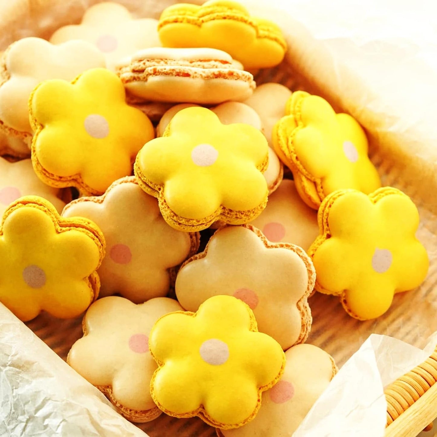 Hihitaoo-Juego de cortadores de sándwiches de acero inoxidable para niños, cortadores de frutas y verduras