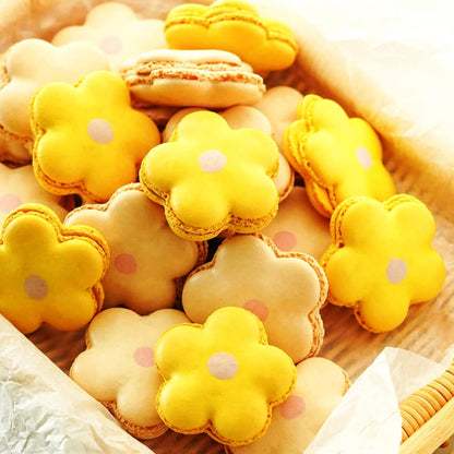 Hihitaoo-Juego de cortadores de sándwiches de acero inoxidable para niños, cortadores de frutas y verduras