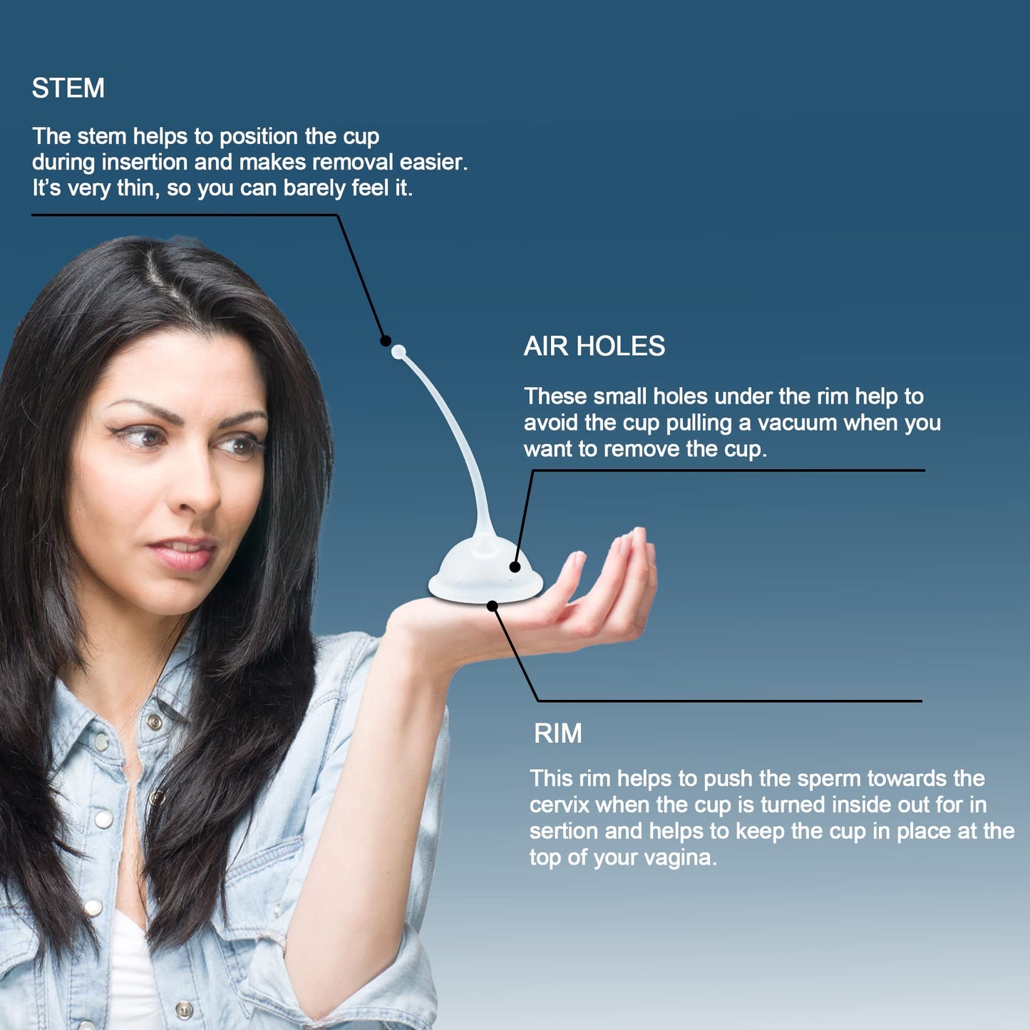 Fertibrad-La Copa de Concepción que te ayuda a intentar concebir en casa