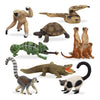 TOYMANY 9 piezas de figuras de animales de safari de Madagascar