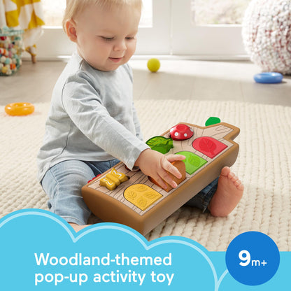 Fisher-Price Hide & Peek Pop-Up