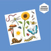Discovery #MINDBLOWN Kit de cultivo de terrario de bricolaje