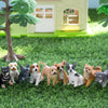 Toymany Juego de 12 figuras de mini perros de juguete