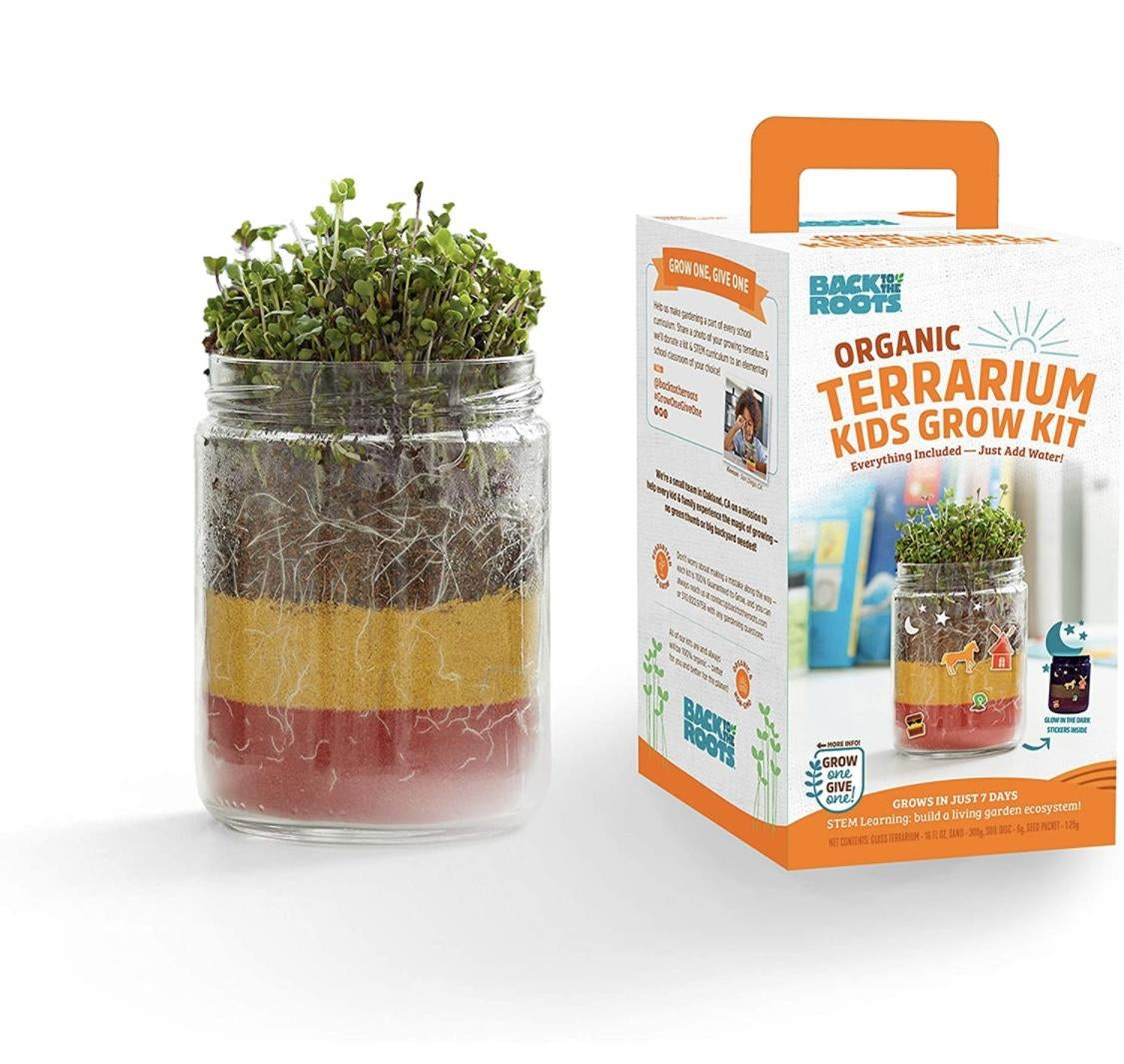 Back to the Roots Kit de cultivo de terrario orgánico