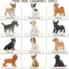 Toymany Juego de 12 figuras de mini perros de juguete