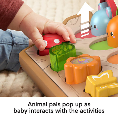 Fisher-Price Hide & Peek Pop-Up