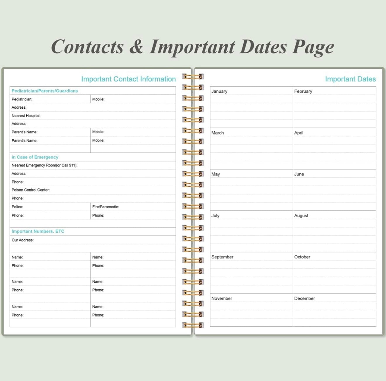 Diario del bebé - Seguimiento del bebé recién nacido, 150 páginas