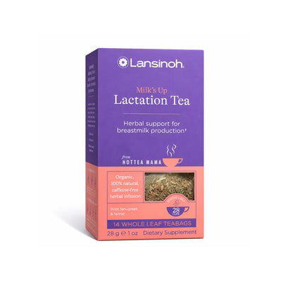 Lansinoh + HotTea Mama Milk's Up, té de apoyo a la lactancia materna y la lactancia