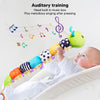 Sorandy Juguete Musical de Peluche con Sonido Arrugado, Sonajero, Chirriador para Bebés