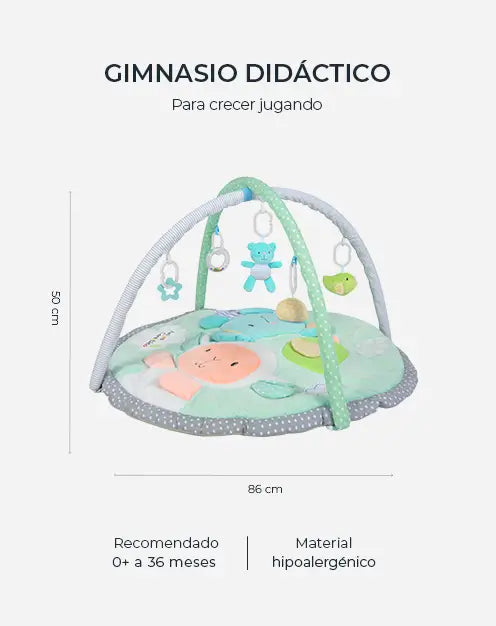 Gimnasio para Bebé