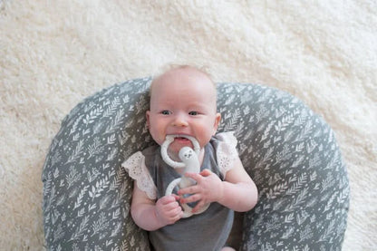 Mordedor Flexees de perezoso de Dr. Brown's - Gris