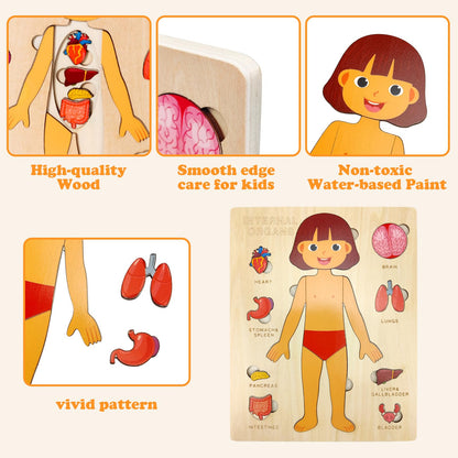 Rompecabezas de Cuerpo de Madera para Niños