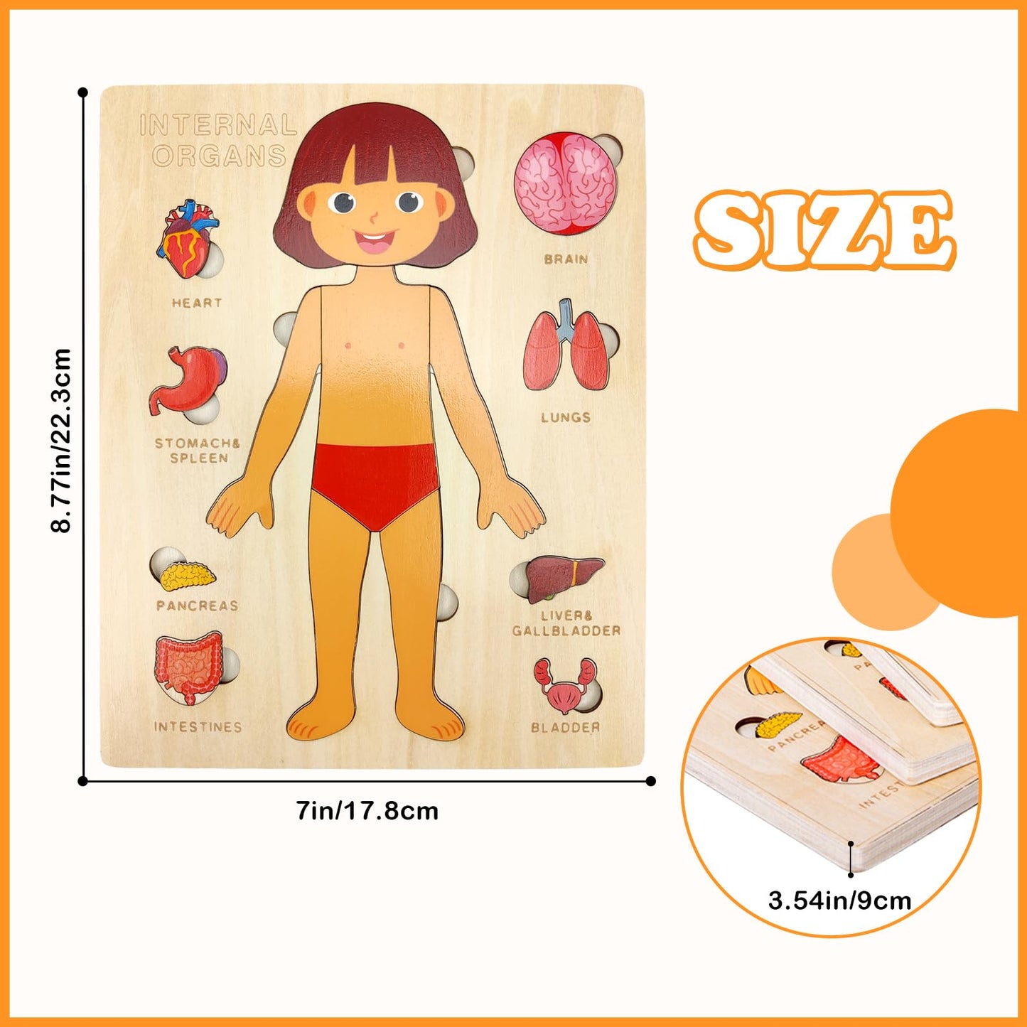 Rompecabezas de Cuerpo de Madera para Niños