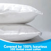 Almohadas para niños pequeños Kinder Fluff (paquete de 2)
