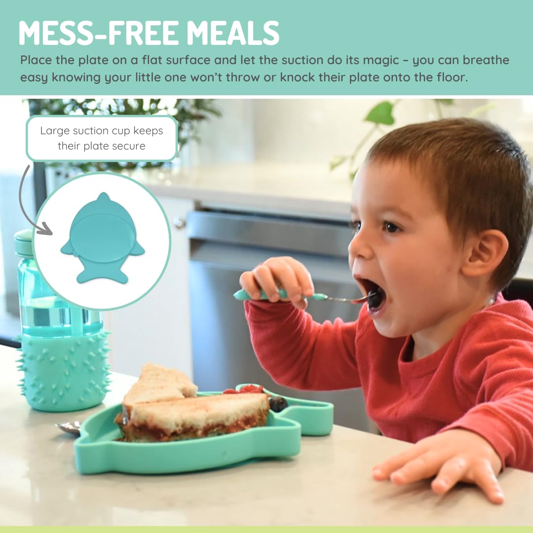 melii Placa de succión de silicona dividida para bebés y niños pequeños, 100% libre de BPA