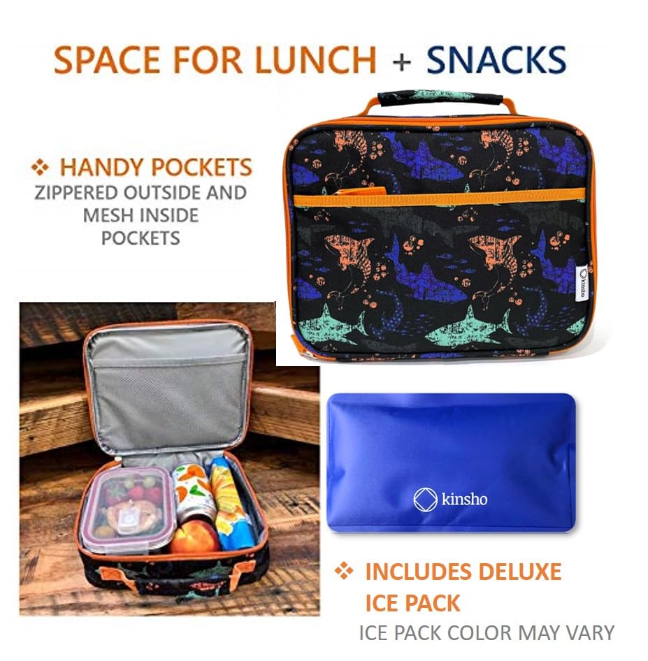 Kinsho Shark Fiambrera con bolsa de hielo para niños pequeños
