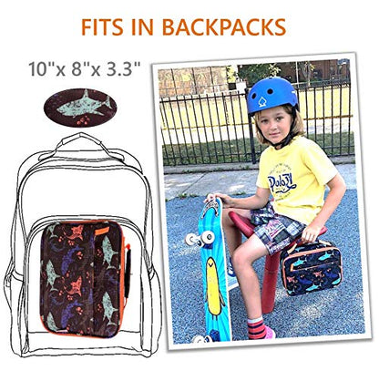 Kinsho Shark Fiambrera con bolsa de hielo para niños pequeños