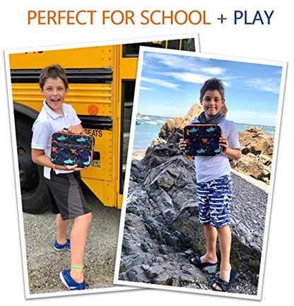 Kinsho Shark Fiambrera con bolsa de hielo para niños pequeños