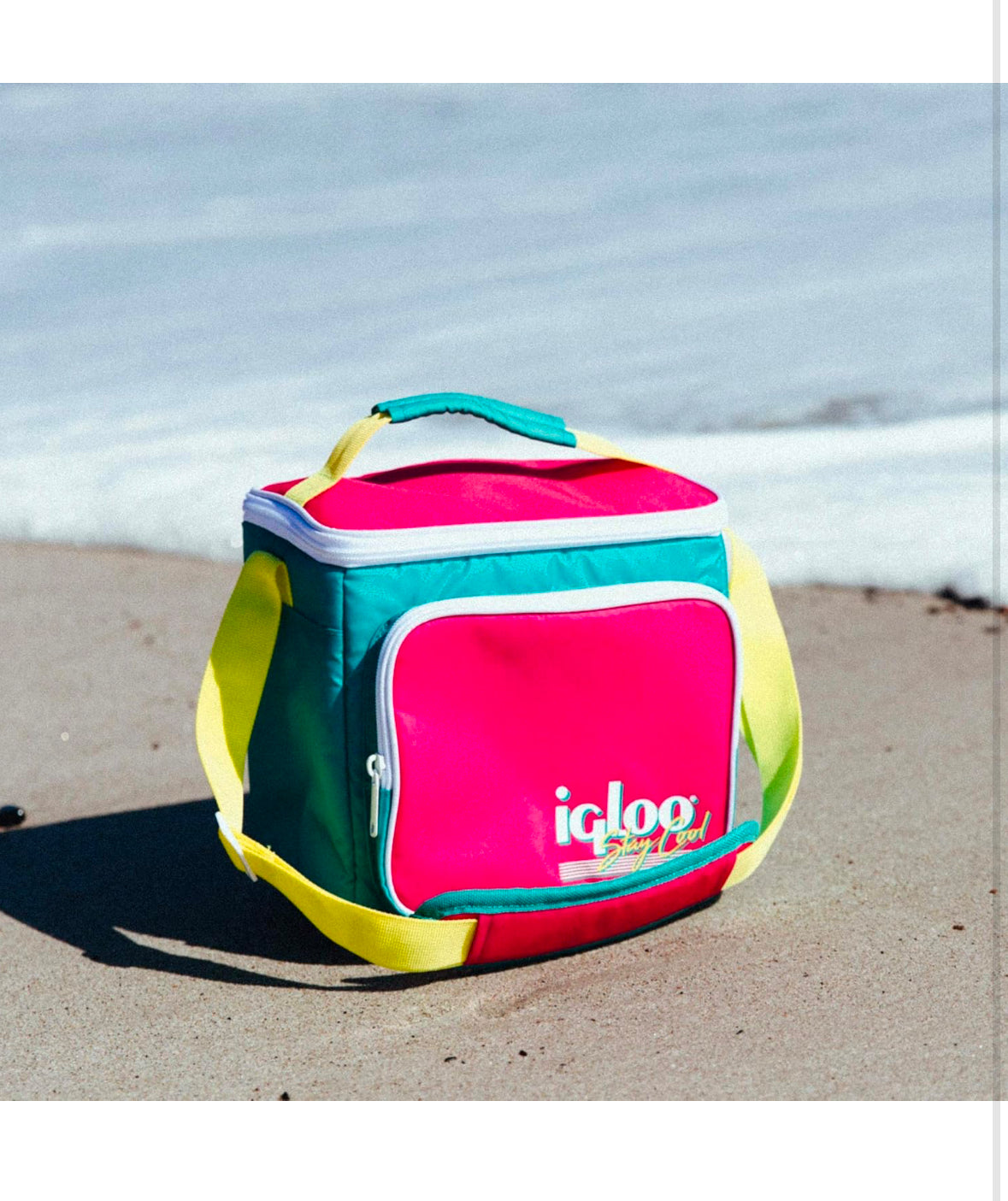 Igloo Enfriadores de almuerzo retro de los años 90