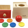 Dailyfunn Montessori Toys Coin&Ball 2 en 1