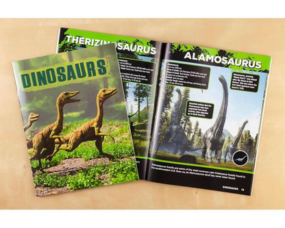 Kit de descubrimiento de dinosaurios: el más grande
