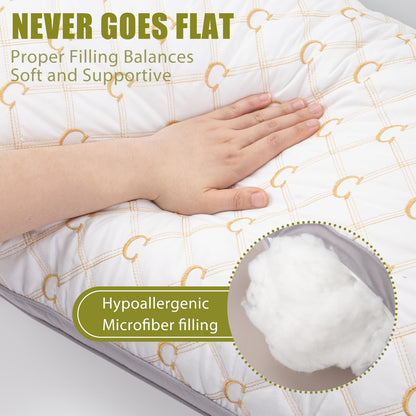 Almohadas Chilling Home para adultos con funda de seda lavable y extraíble