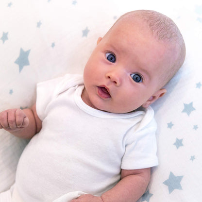 Newton Baby Sábana bajera ajustable para cuna, 2 unidades, algodón orgánico