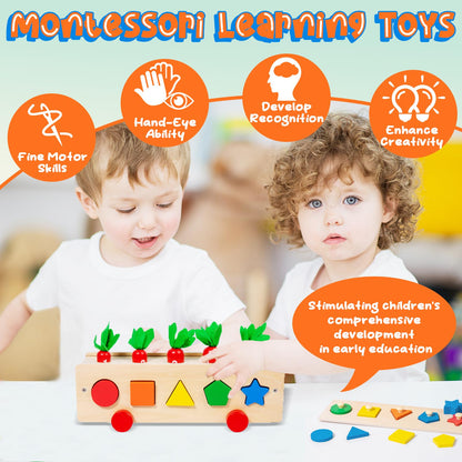 Juguetes Montessori de clasificación de formas y colores