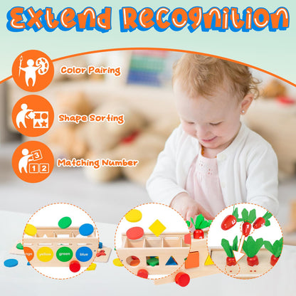 Juguetes Montessori de clasificación de formas y colores