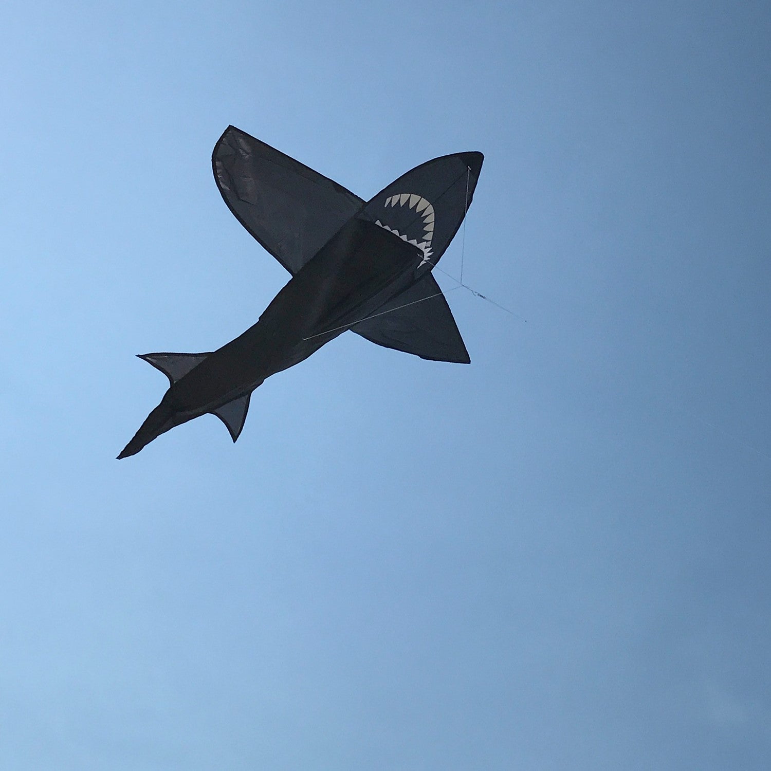 Cometa de tiburón