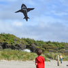 Cometa de tiburón