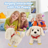 TOYMAKER 10 juguetes para perros para niños