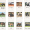 Tarjetas de juego Montessori Animal Match
