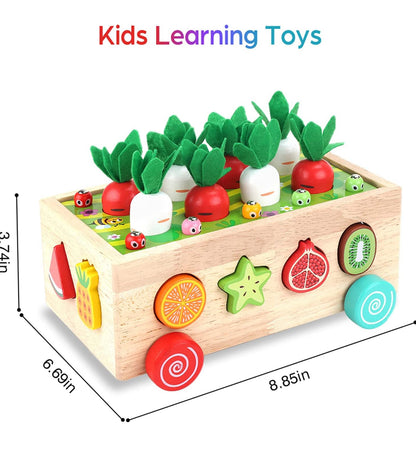 Juego de habilidades motoras finas