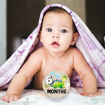 Círculos mensuales de hitos de dinosaurio para bebés, discos de madera para fotos