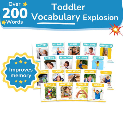 Toyventive juego de libros de cartón