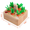 SKYFIELD Juego de Cosecha de Zanahorias Juguete de Madera