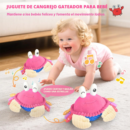 Juguetes de Peluche Musicales Recargables con 40 Canciones y Grabadora de Voz