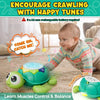 Ludolm Juguetes para Bebés de 6 a 12 Meses, Tummy Time Toys Turtle con Luz y Sonido