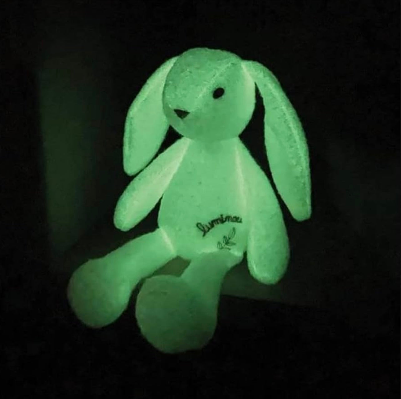 Jemini Luminou Conejito brilla en la oscuridad