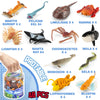 Yeonha Toys Animales Marinos con Caja de Regalo, 48 Piezas Mini