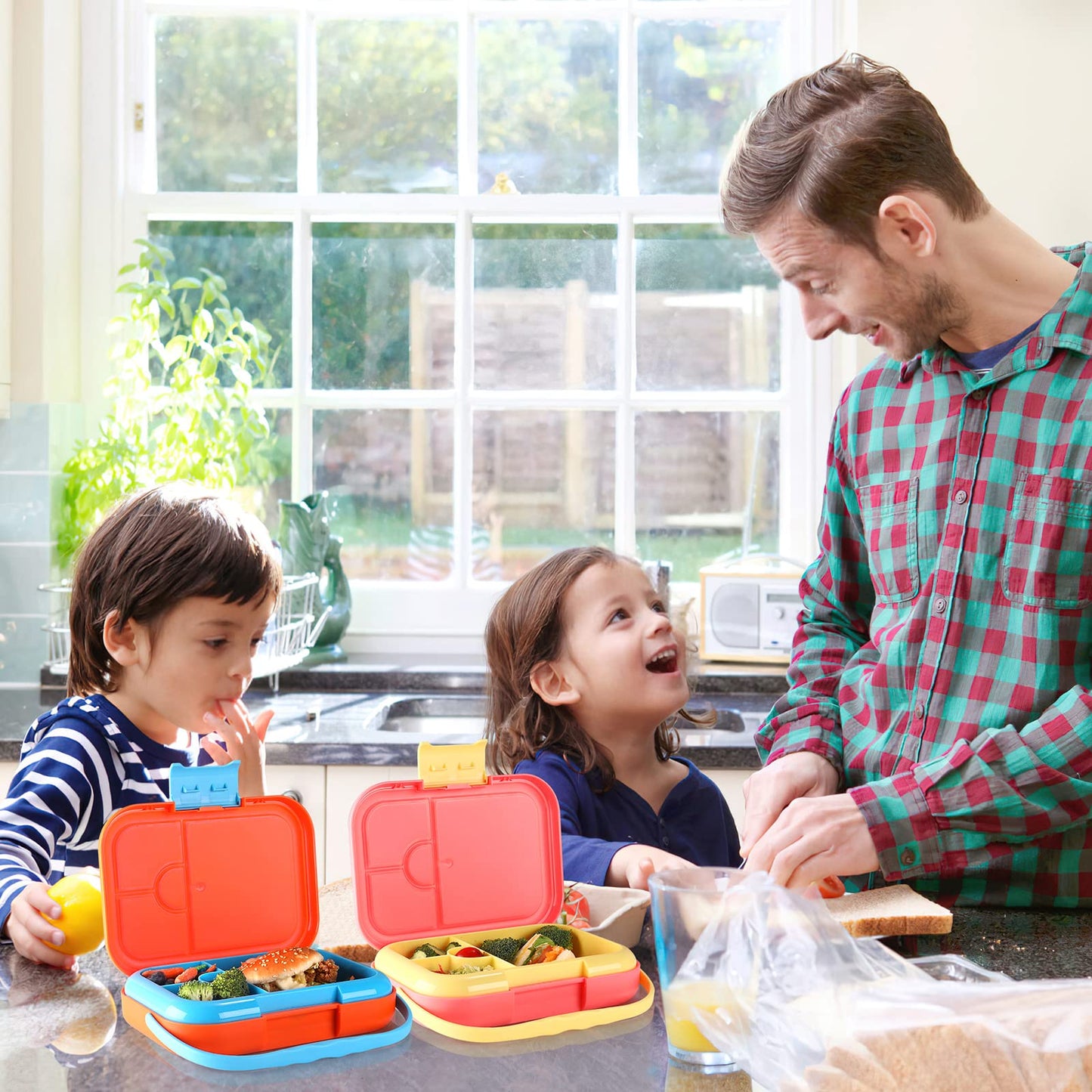 havinoo Bento Lunch Box
